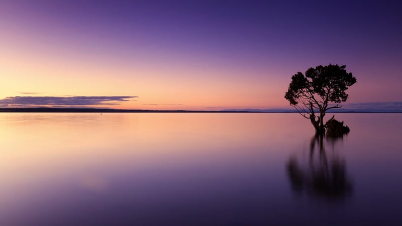 Tai Chi at Sunset